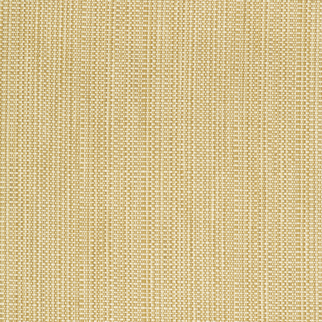 Kravet Contract fabric in 34634-416 color - pattern 34634.416.0 - by Kravet Contract in the Crypton Incase collection