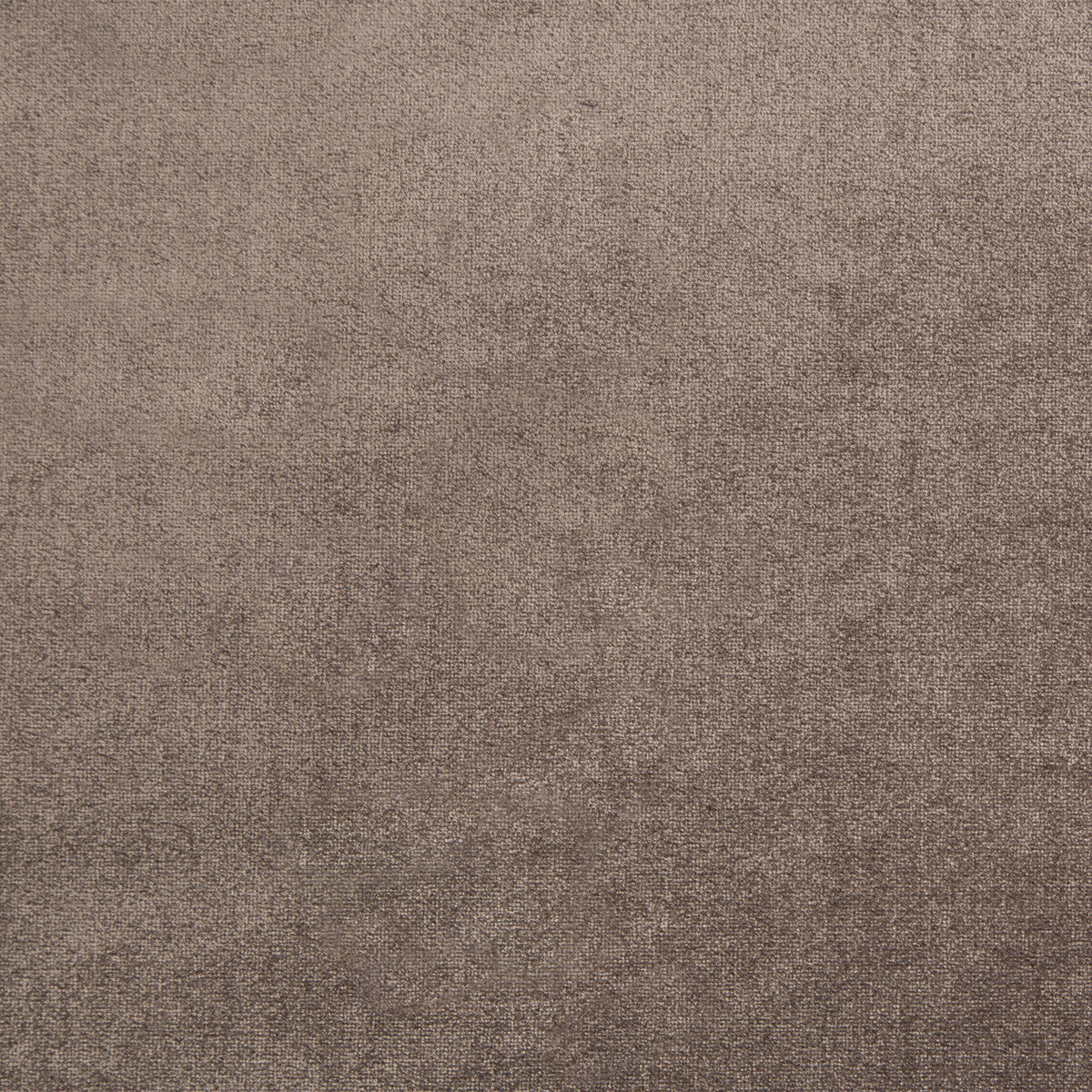 Duchess Velvet fabric in dusty mauve color - pattern 34641.106.0 - by Kravet Couture