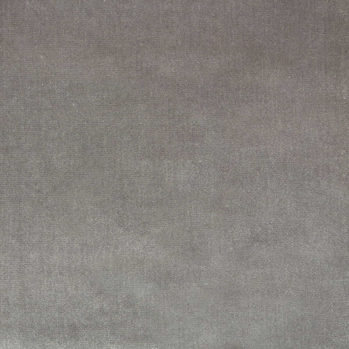Duchess Velvet fabric in pewter color - pattern 34641.11.0 - by Kravet Couture