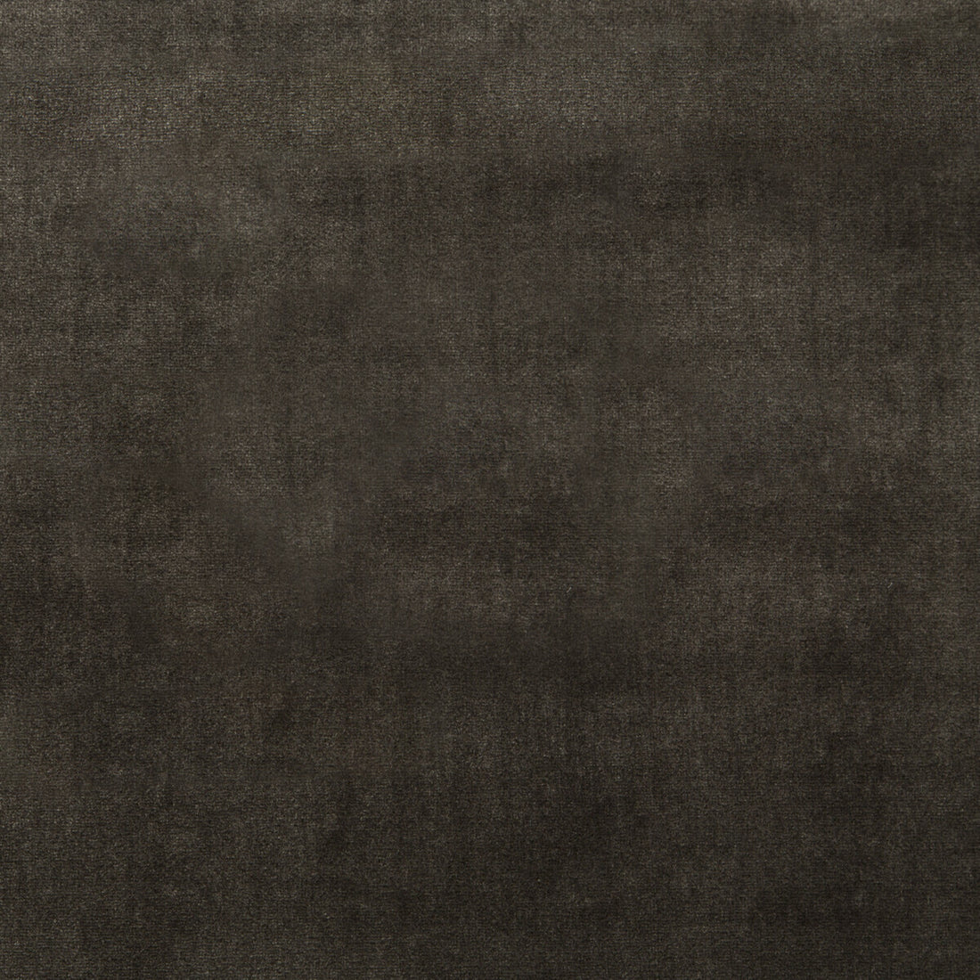 Duchess Velvet fabric in charcoal color - pattern 34641.86.0 - by Kravet Couture