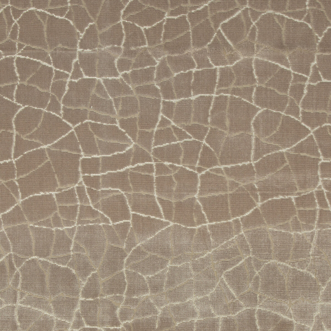 Formation fabric in fawn color - pattern 34780.106.0 - by Kravet Couture in the Artisan Velvets collection