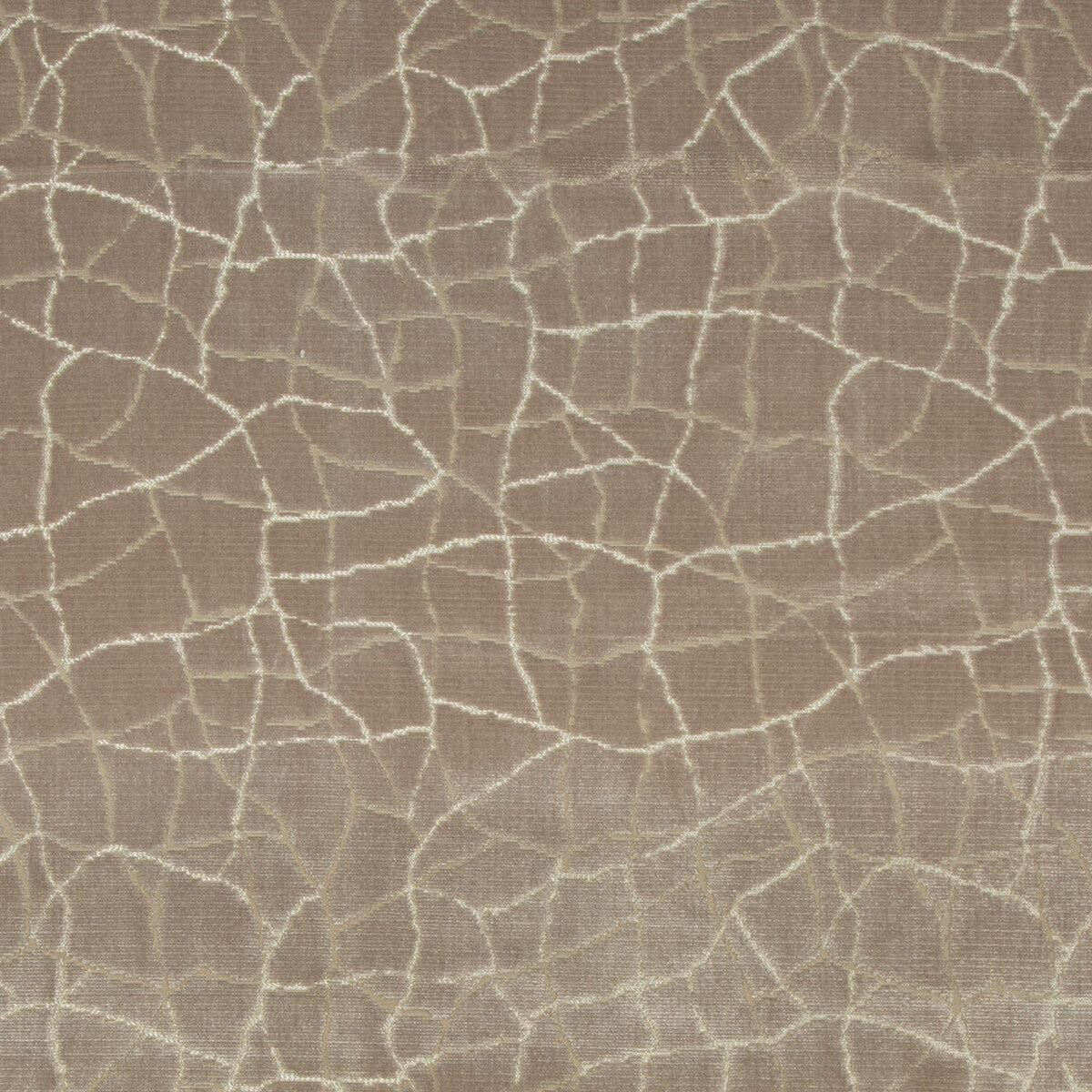 Formation fabric in fawn color - pattern 34780.106.0 - by Kravet Couture in the Artisan Velvets collection