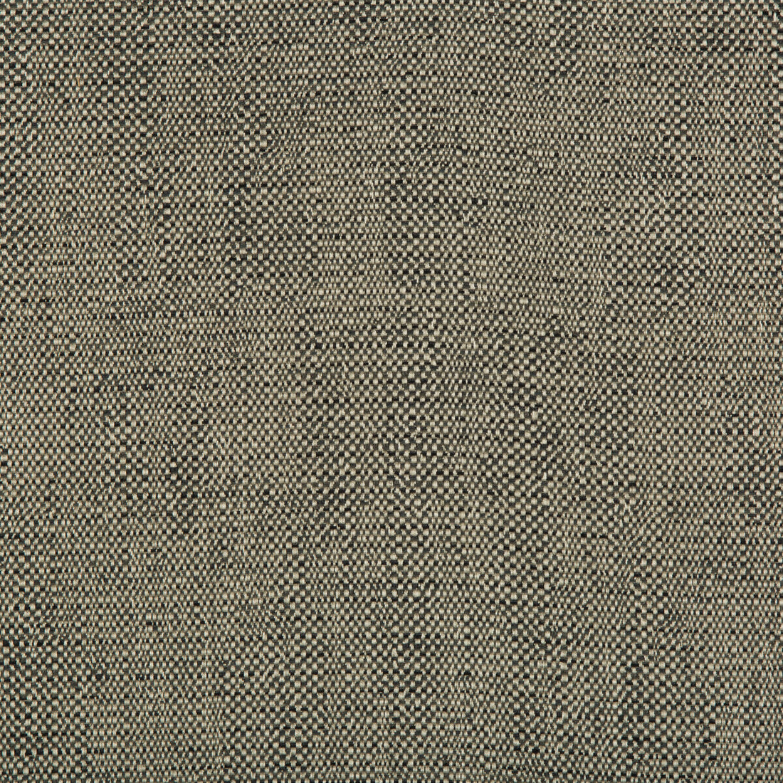 Kravet Design fabric in 35135-21 color - pattern 35135.21.0 - by Kravet Design in the Performance Crypton Home collection