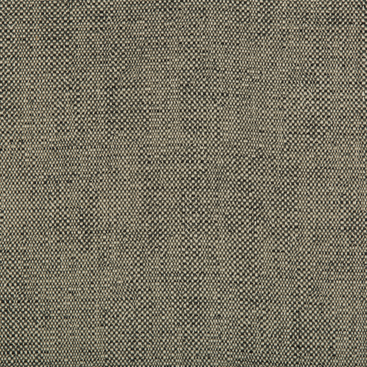 Kravet Design fabric in 35135-21 color - pattern 35135.21.0 - by Kravet Design in the Performance Crypton Home collection
