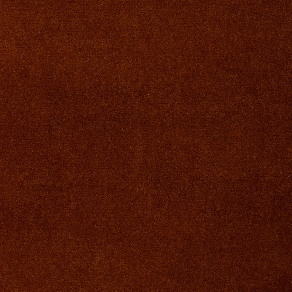 35366 fabric in orange color - pattern number 35366.124.0 - by Kravet Design in the Versailles Velvets Plus II collection