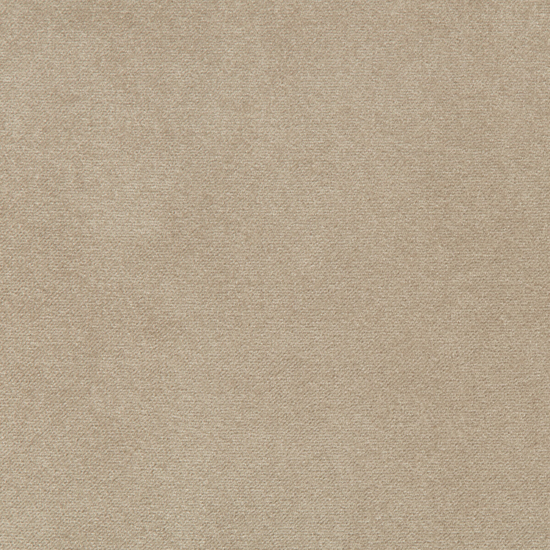 Madison Velvet fabric in porcini color - pattern 35402.16.0 - by Kravet Contract