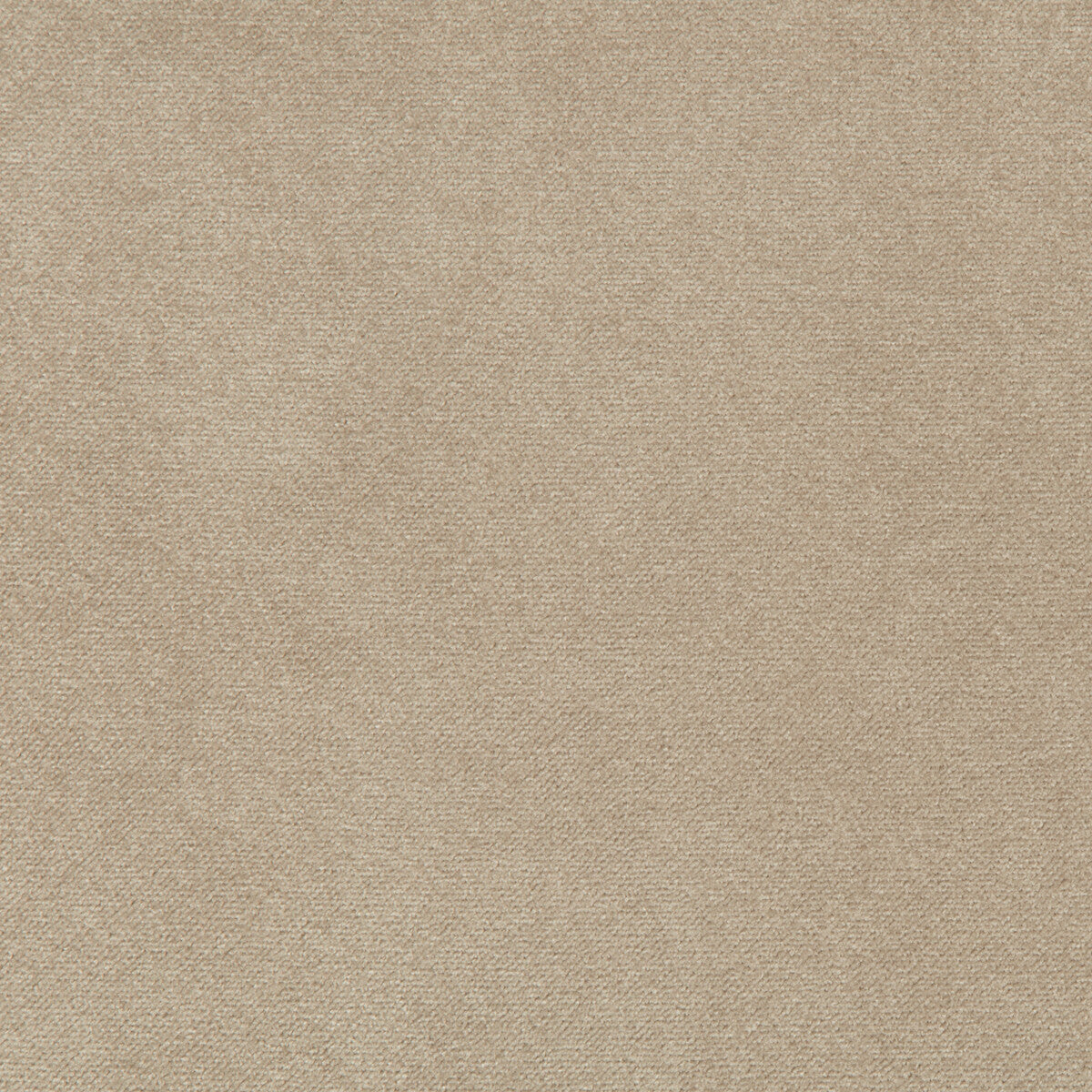 Madison Velvet fabric in porcini color - pattern 35402.16.0 - by Kravet Contract