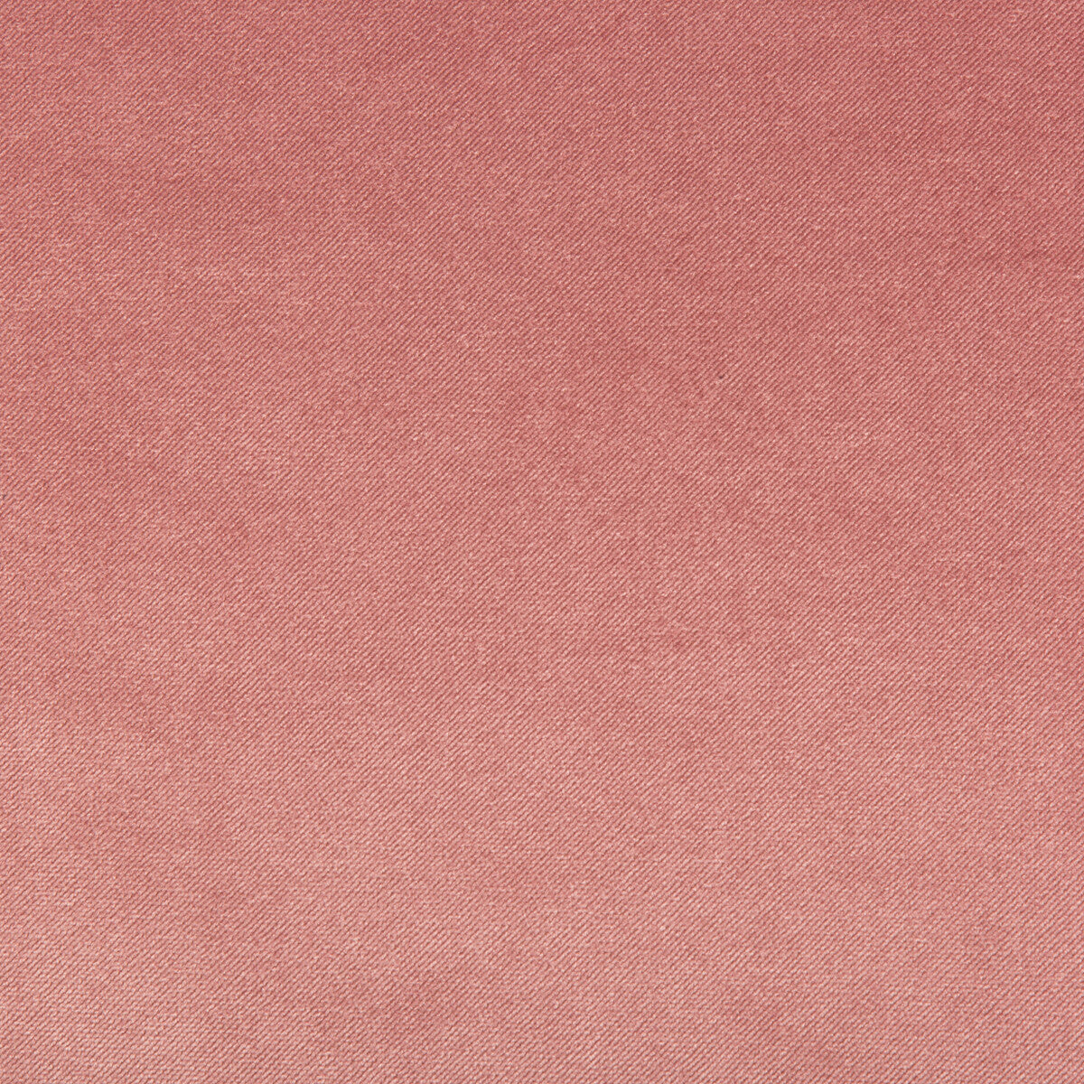 Madison Velvet fabric in pomelo color - pattern 35402.7.0 - by Kravet Contract