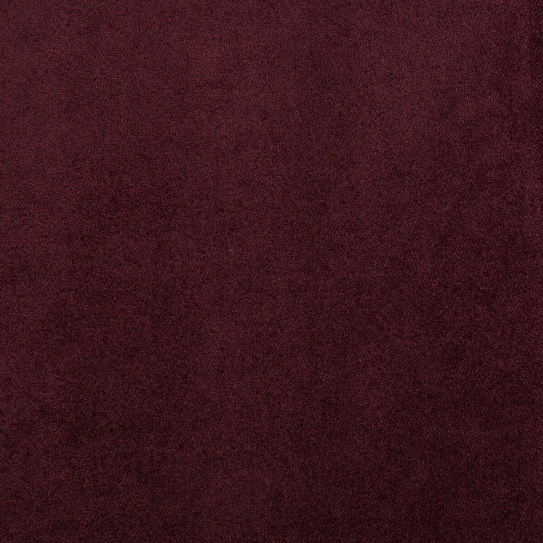 Madison Velvet fabric in raisin color - pattern 35402.99.0 - by Kravet Contract
