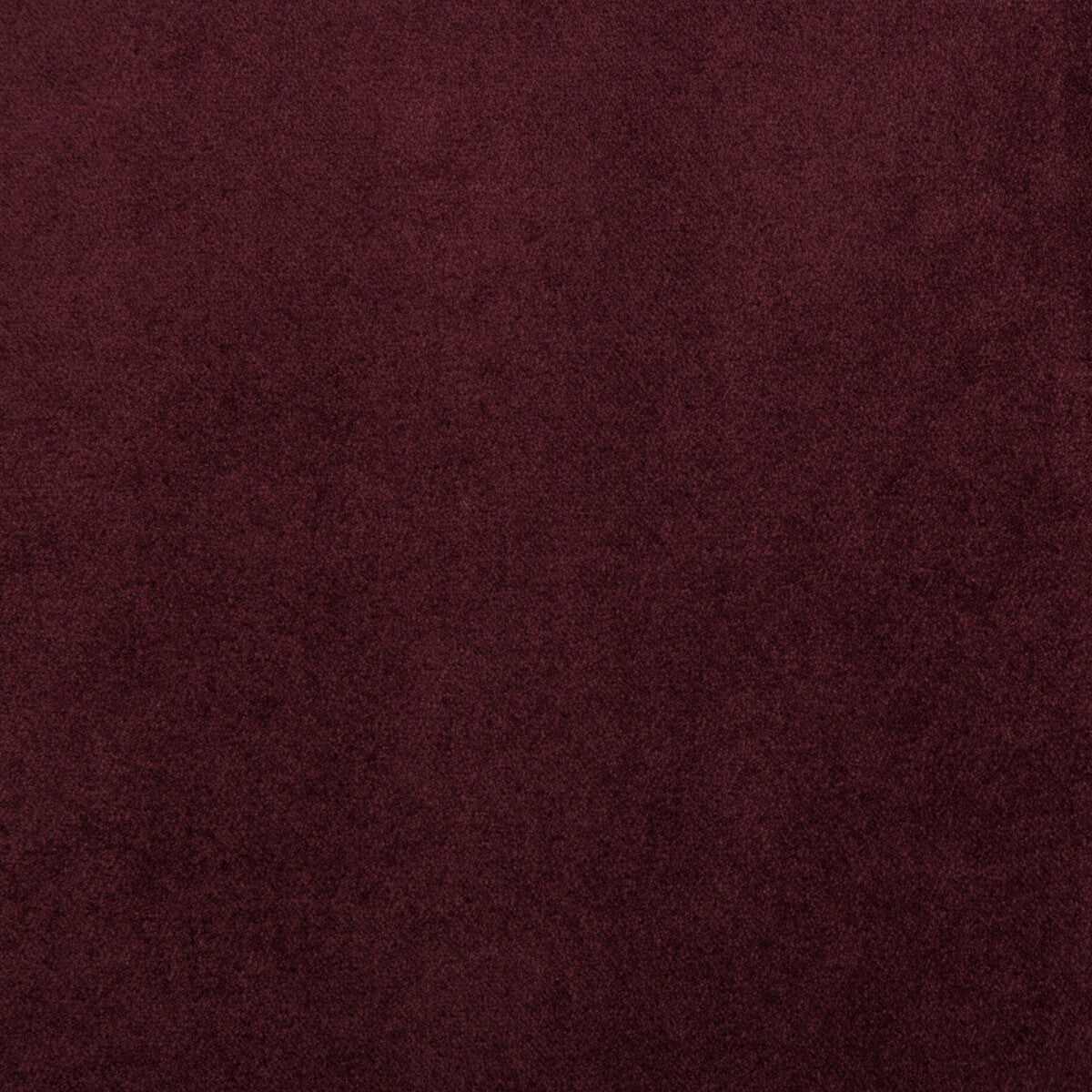 Madison Velvet fabric in raisin color - pattern 35402.99.0 - by Kravet Contract