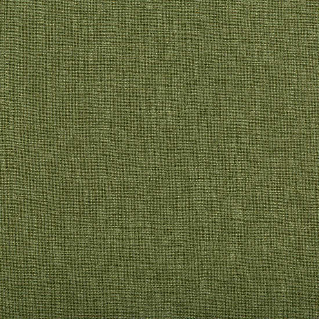 Aura fabric in vine color - pattern 35520.13.0 - by Kravet Design