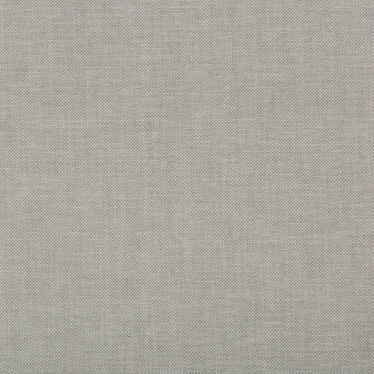 Oxfordian fabric in grey color - pattern 35543.11.0 - by Kravet Basics in the Bermuda collection