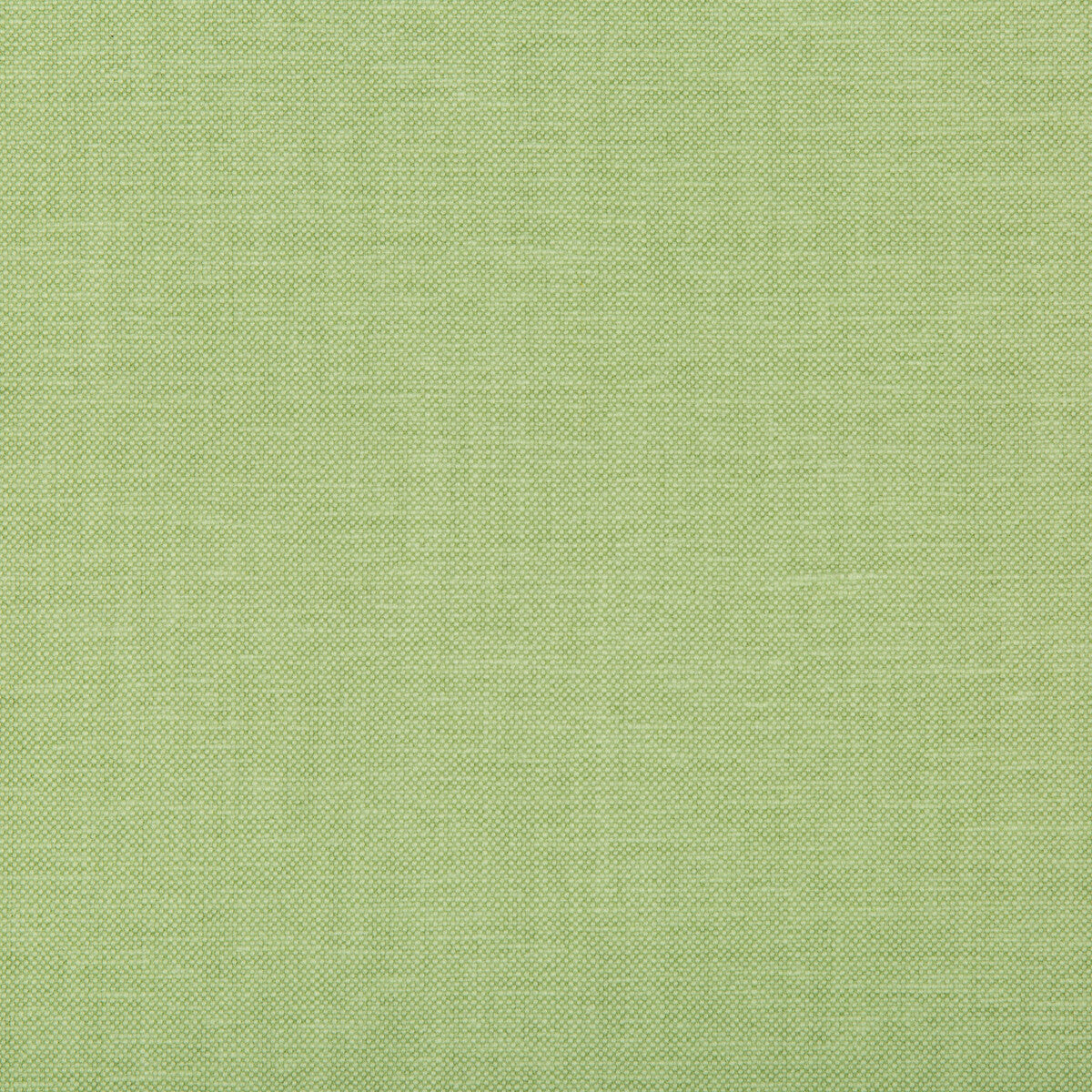 Oxfordian fabric in leaf color - pattern 35543.13.0 - by Kravet Basics in the Bermuda collection
