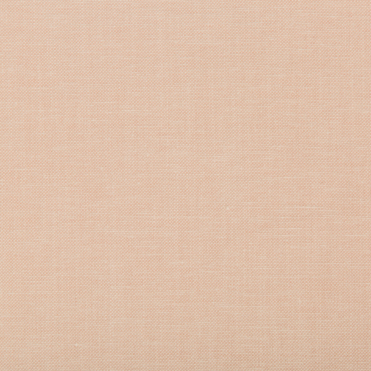 Oxfordian fabric in blush color - pattern 35543.17.0 - by Kravet Basics in the Bermuda collection