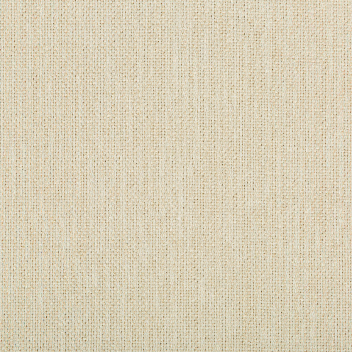 Williams fabric in sea salt color - pattern 35744.1.0 - by Kravet Contract in the Value Kravetarmor collection