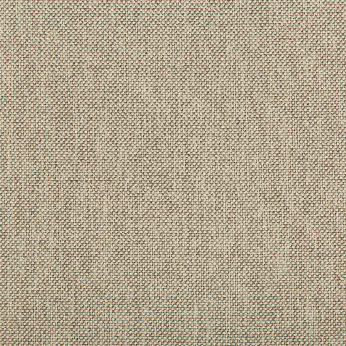 Williams fabric in limestone color - pattern 35744.106.0 - by Kravet Contract in the Value Kravetarmor collection