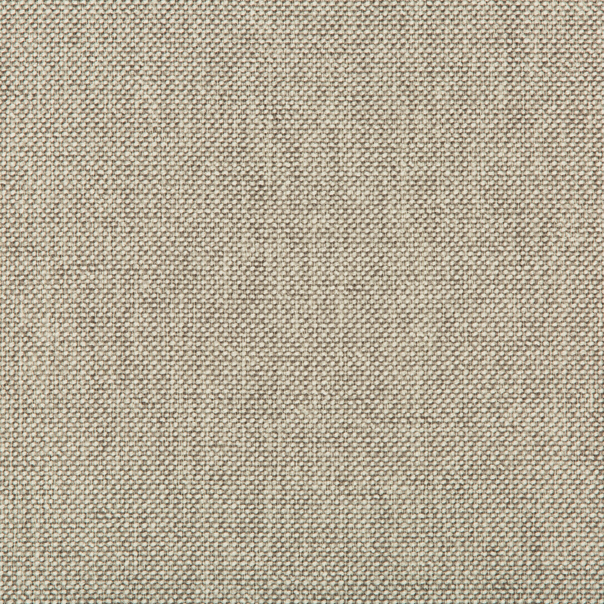 Williams fabric in pumice color - pattern 35744.1111.0 - by Kravet Contract in the Value Kravetarmor collection