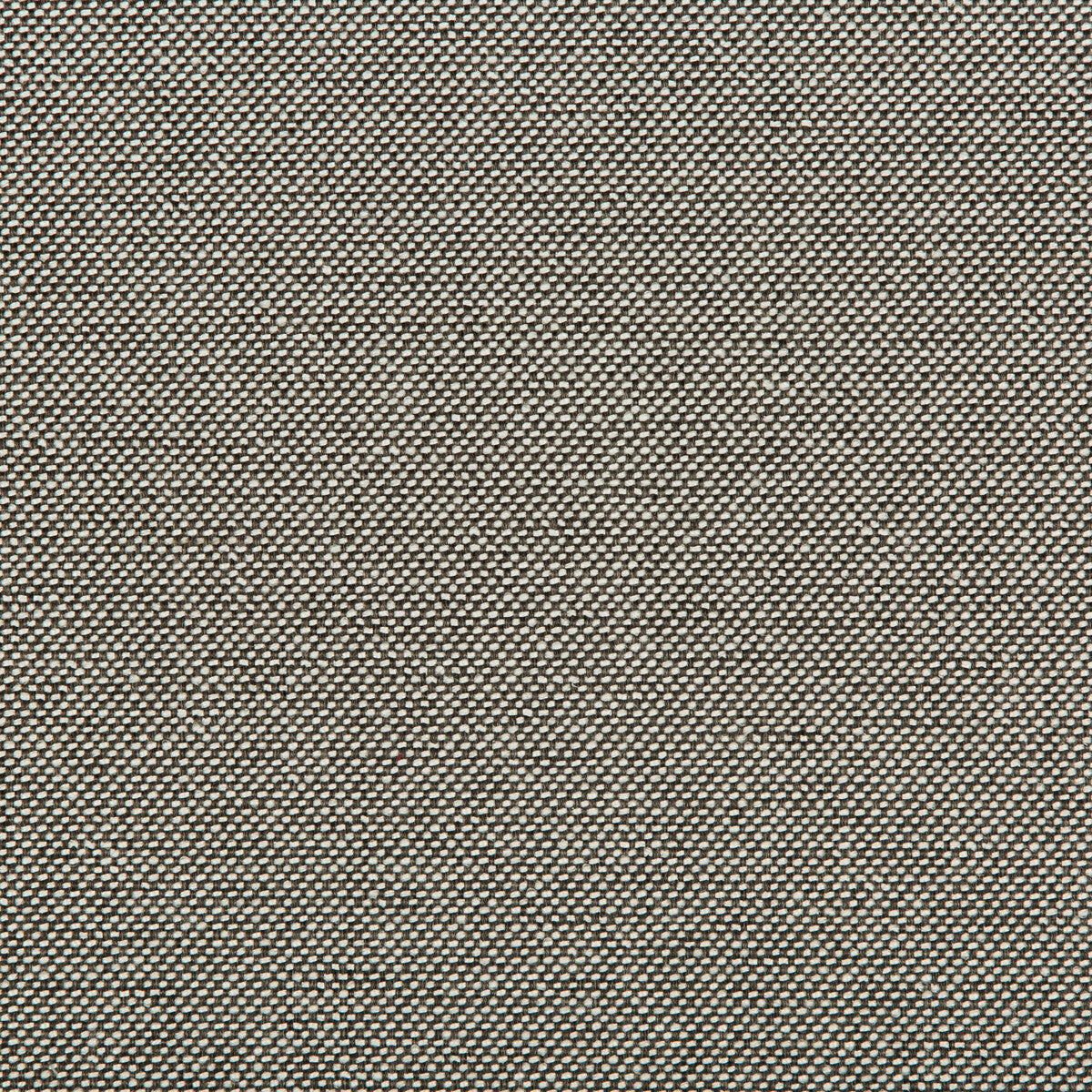 Williams fabric in aluminum color - pattern 35744.121.0 - by Kravet Contract in the Value Kravetarmor collection
