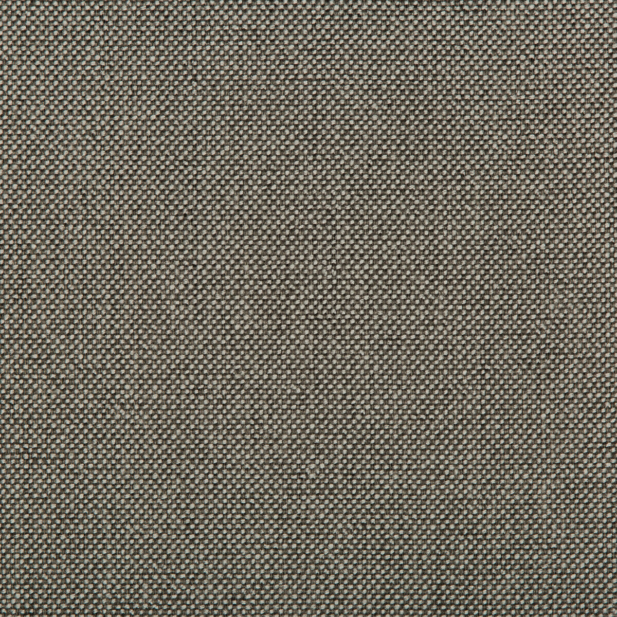 Williams fabric in nickel color - pattern 35744.21.0 - by Kravet Contract in the Value Kravetarmor collection