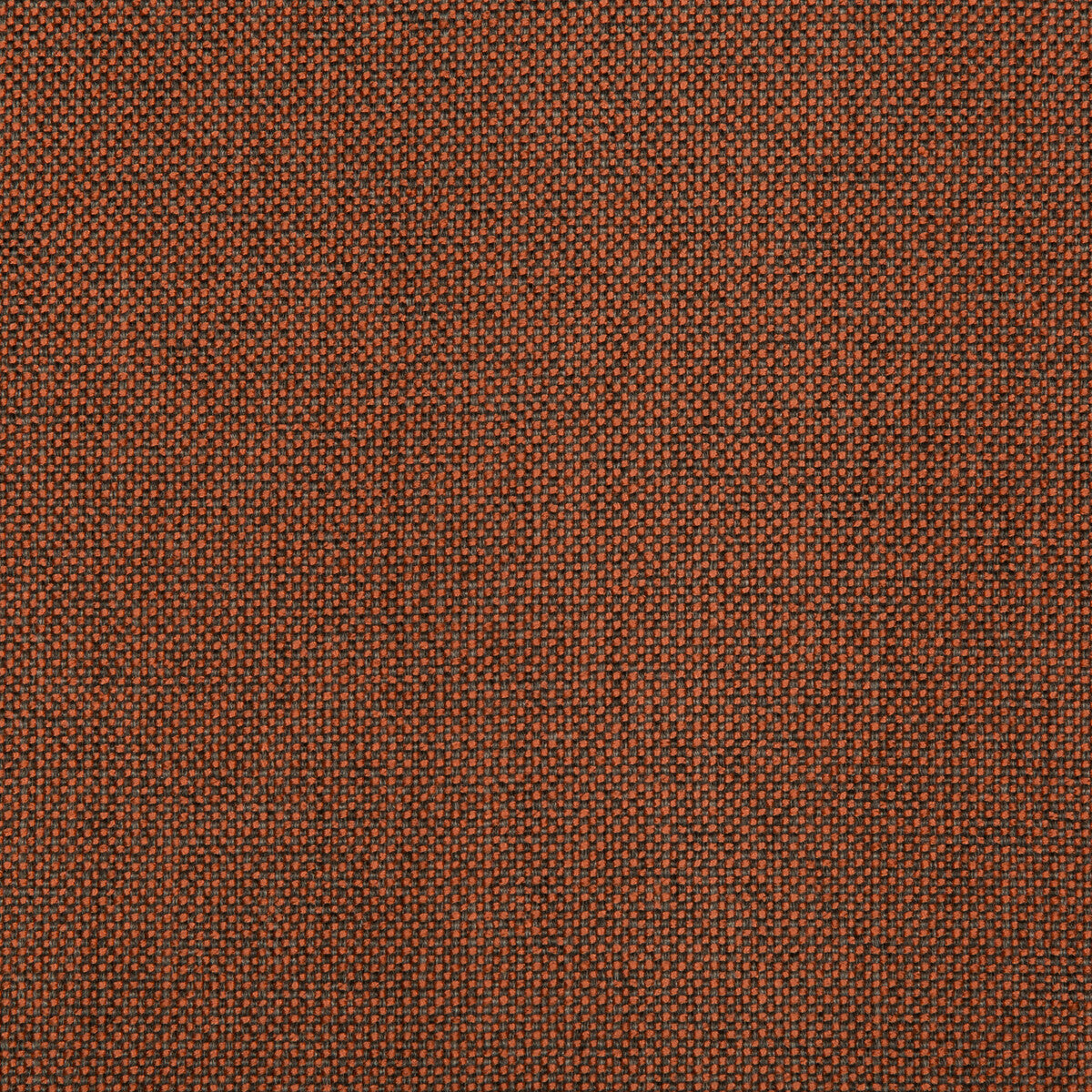 Williams fabric in spice color - pattern 35744.24.0 - by Kravet Contract in the Value Kravetarmor collection
