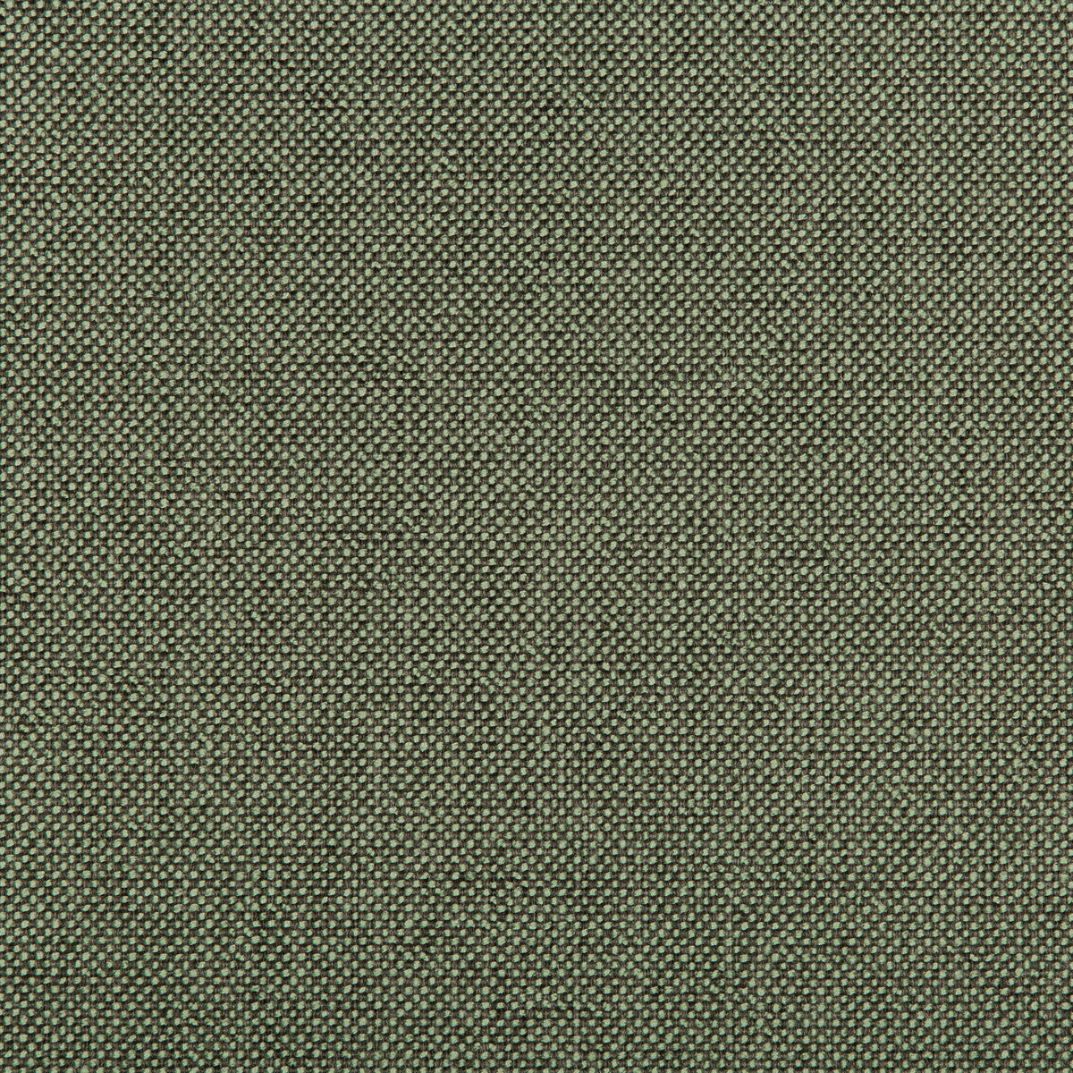 Williams fabric in pistachio color - pattern 35744.321.0 - by Kravet Contract in the Value Kravetarmor collection
