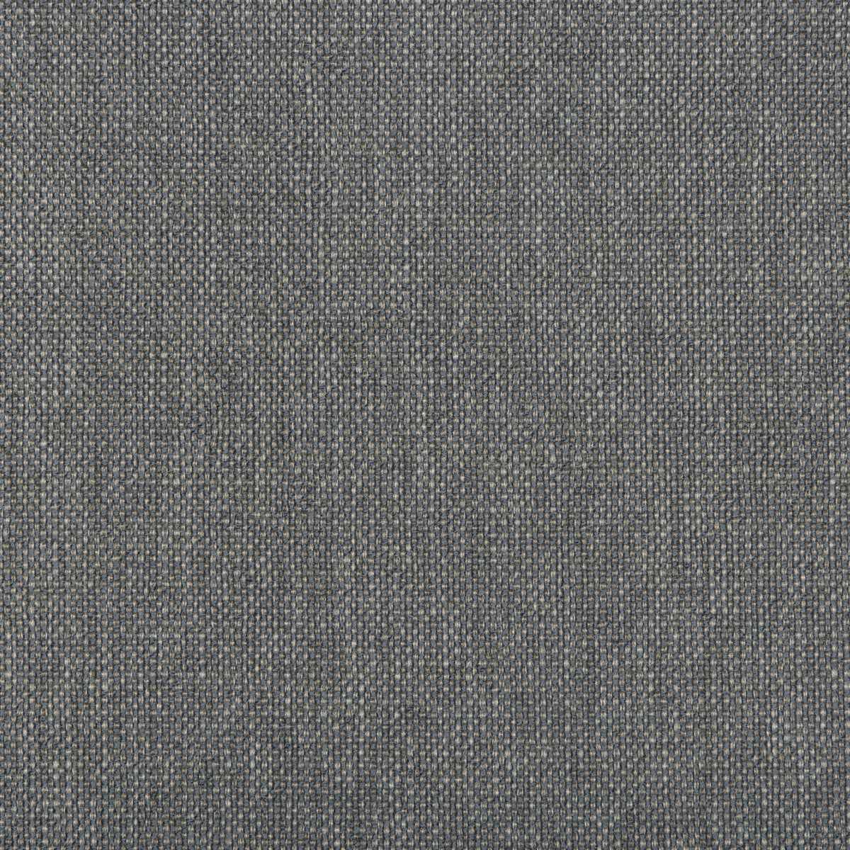 Williams fabric in heron color - pattern 35744.511.0 - by Kravet Contract in the Value Kravetarmor collection