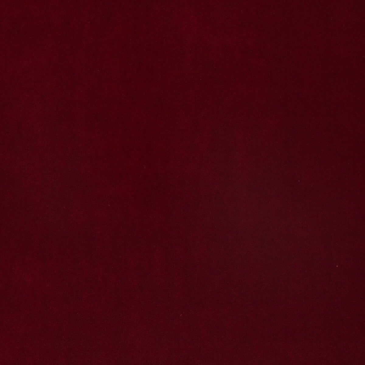 Lyla Velvet fabric in ruby color - pattern 35825.480.0 - by Kravet Contract in the Riviera Velvet collection