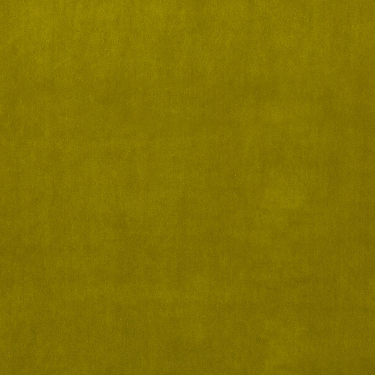 Lyla Velvet fabric in lime color - pattern 35825.755.0 - by Kravet Contract in the Riviera Velvet collection