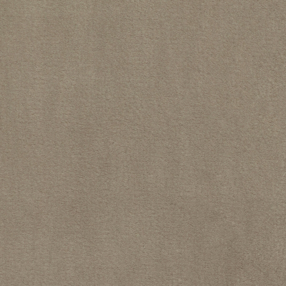 Plushilla fabric in beige color - pattern 36061.16.0 - by Kravet Basics in the Monterey collection