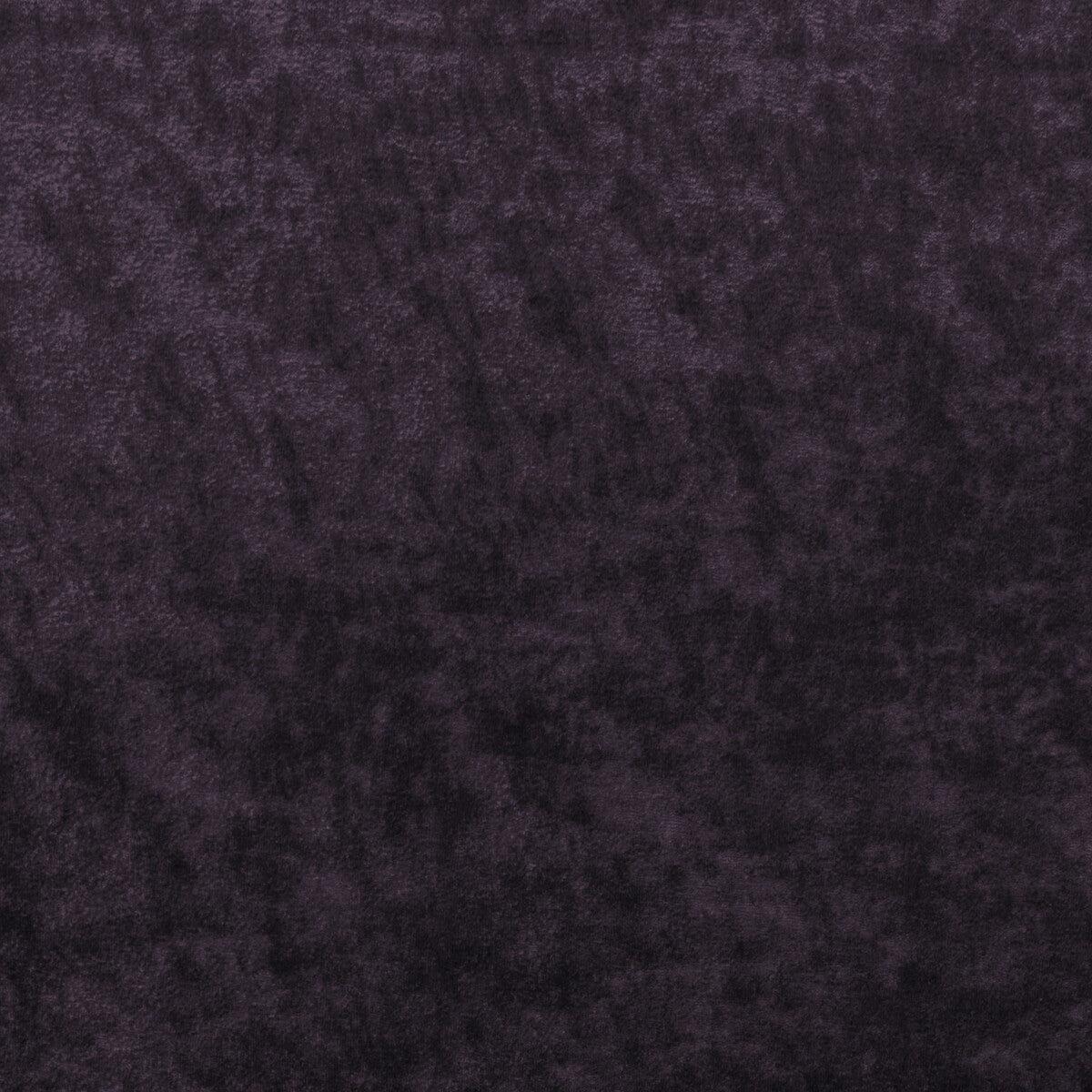 Triumphant fabric in amethyst color - pattern 36065.10.0 - by Kravet Couture