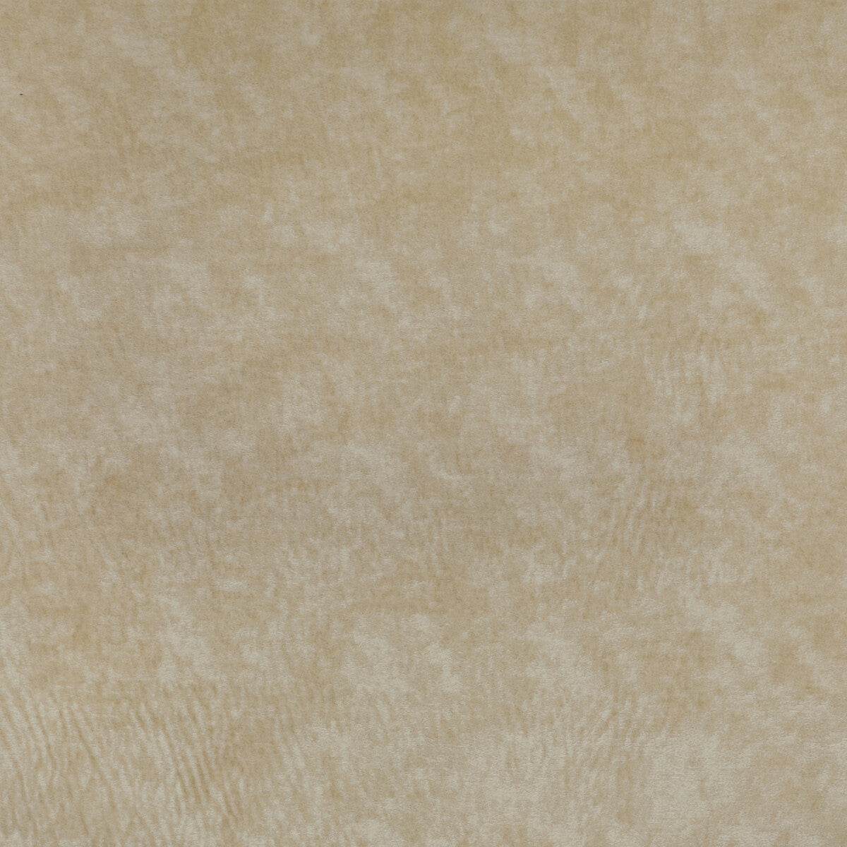 Triumphant fabric in creme color - pattern 36065.116.0 - by Kravet Couture
