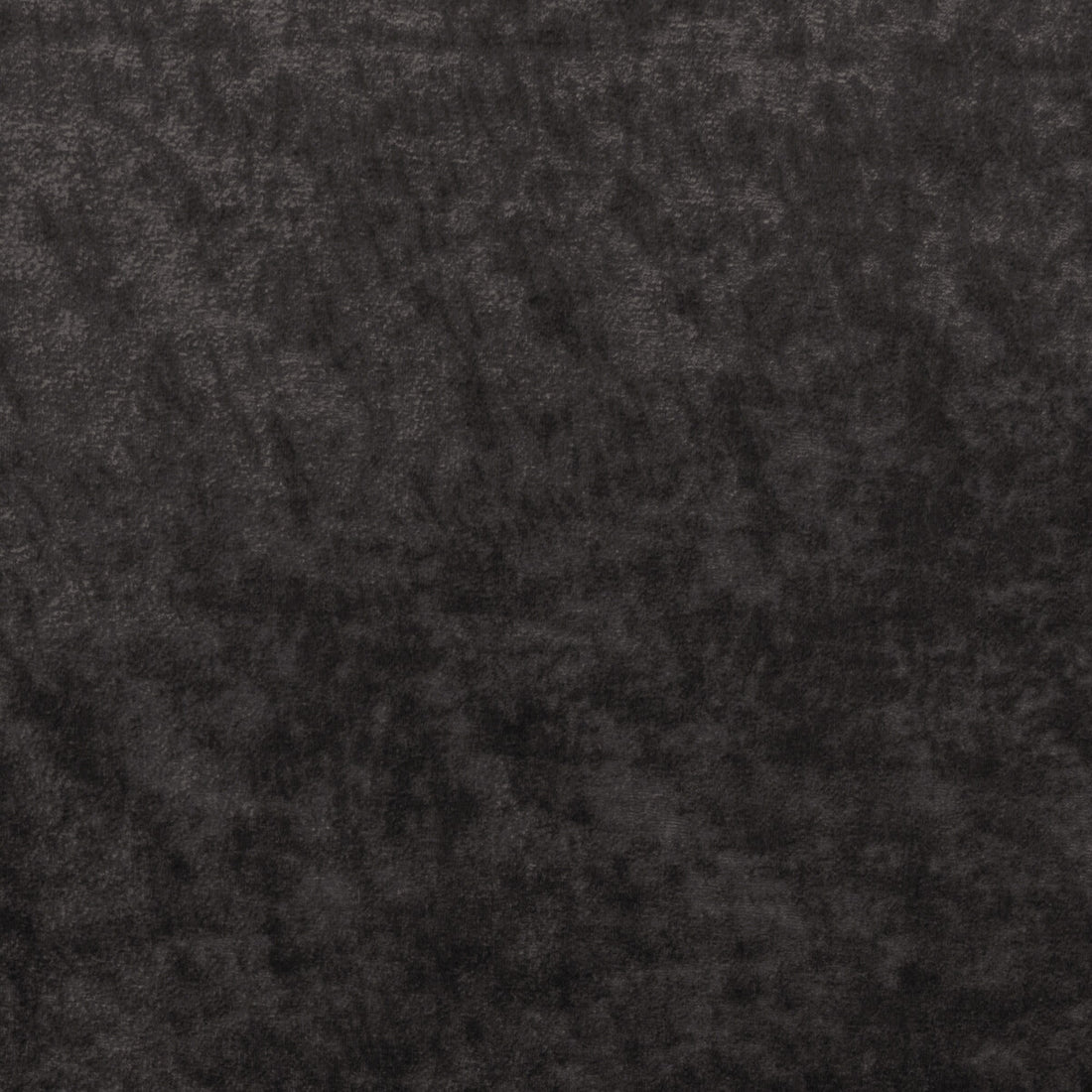 Triumphant fabric in graphite color - pattern 36065.821.0 - by Kravet Couture