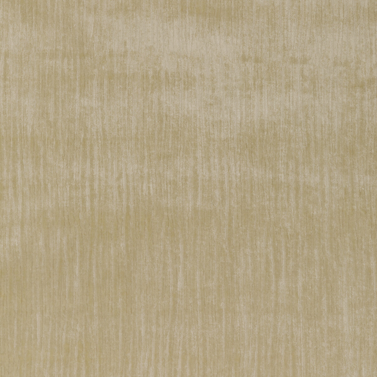 Majesty Velvet fabric in stone color - pattern 36066.11.0 - by Kravet Couture