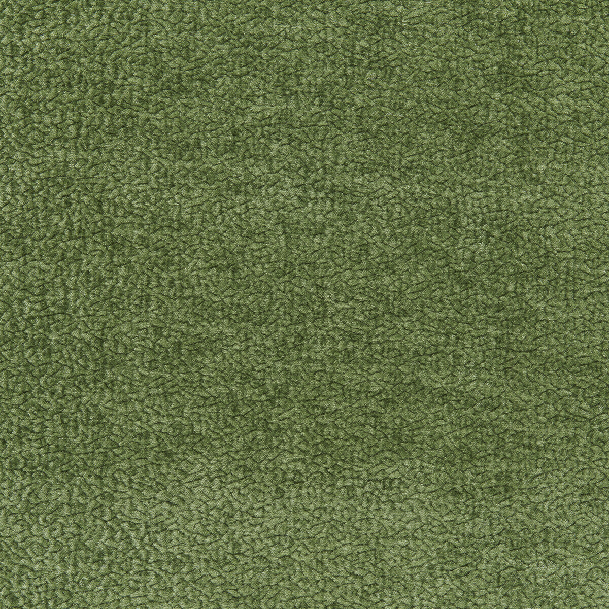 Barton Chenille fabric in shamrock color - pattern number 36074.23.0 - by Kravet Smart in the Barton Chenille II collection