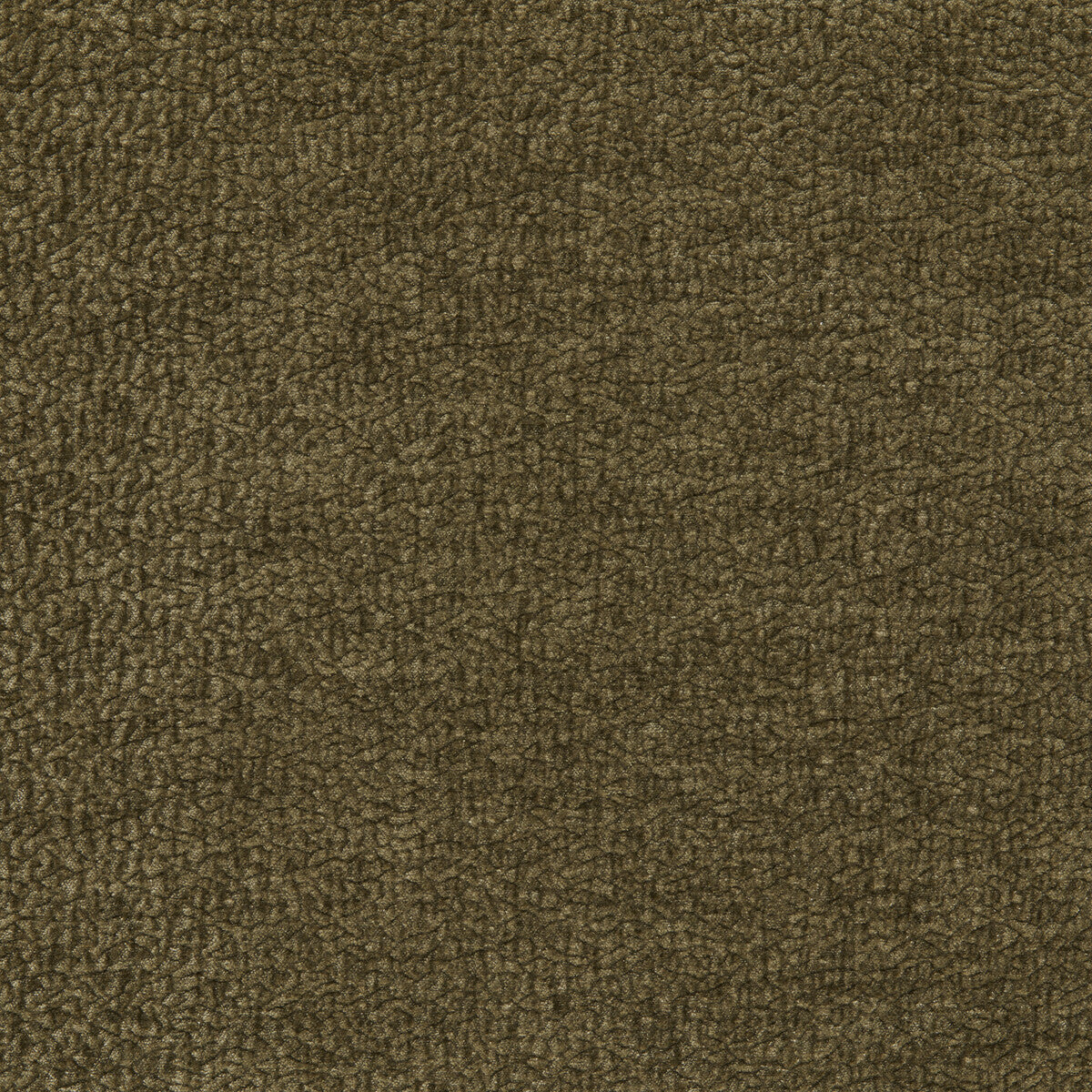 Barton Chenille fabric in pine color - pattern number 36074.333.0 - by Kravet Smart in the Barton Chenille II collection