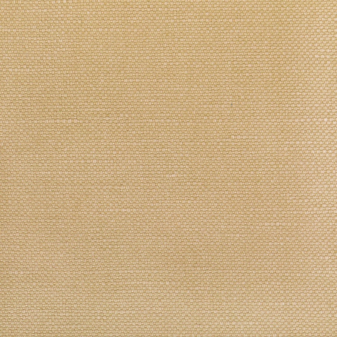 Carson fabric in tussah color - pattern 36282.1614.0 - by Kravet Basics