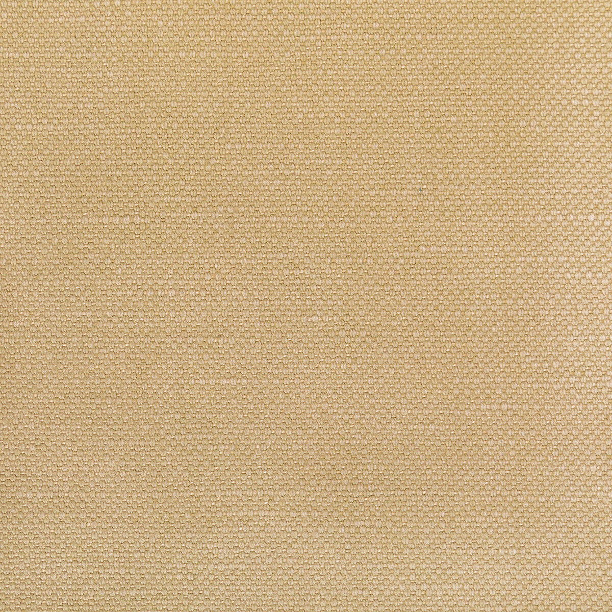 Carson fabric in tussah color - pattern 36282.1614.0 - by Kravet Basics