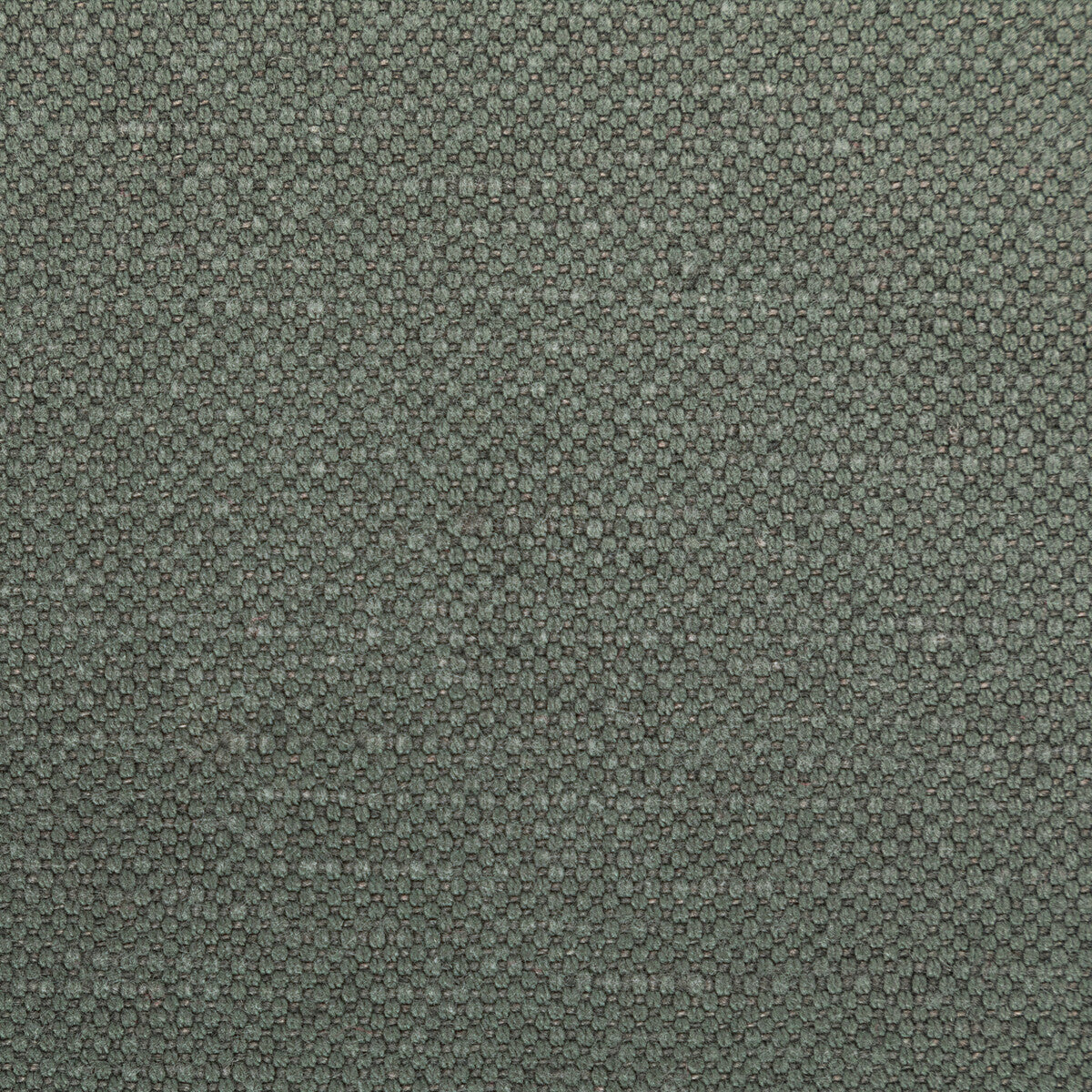Carson fabric in pewter color - pattern 36282.21.0 - by Kravet Basics