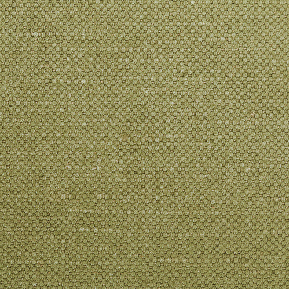 Carson fabric in dill color - pattern 36282.23.0 - by Kravet Basics