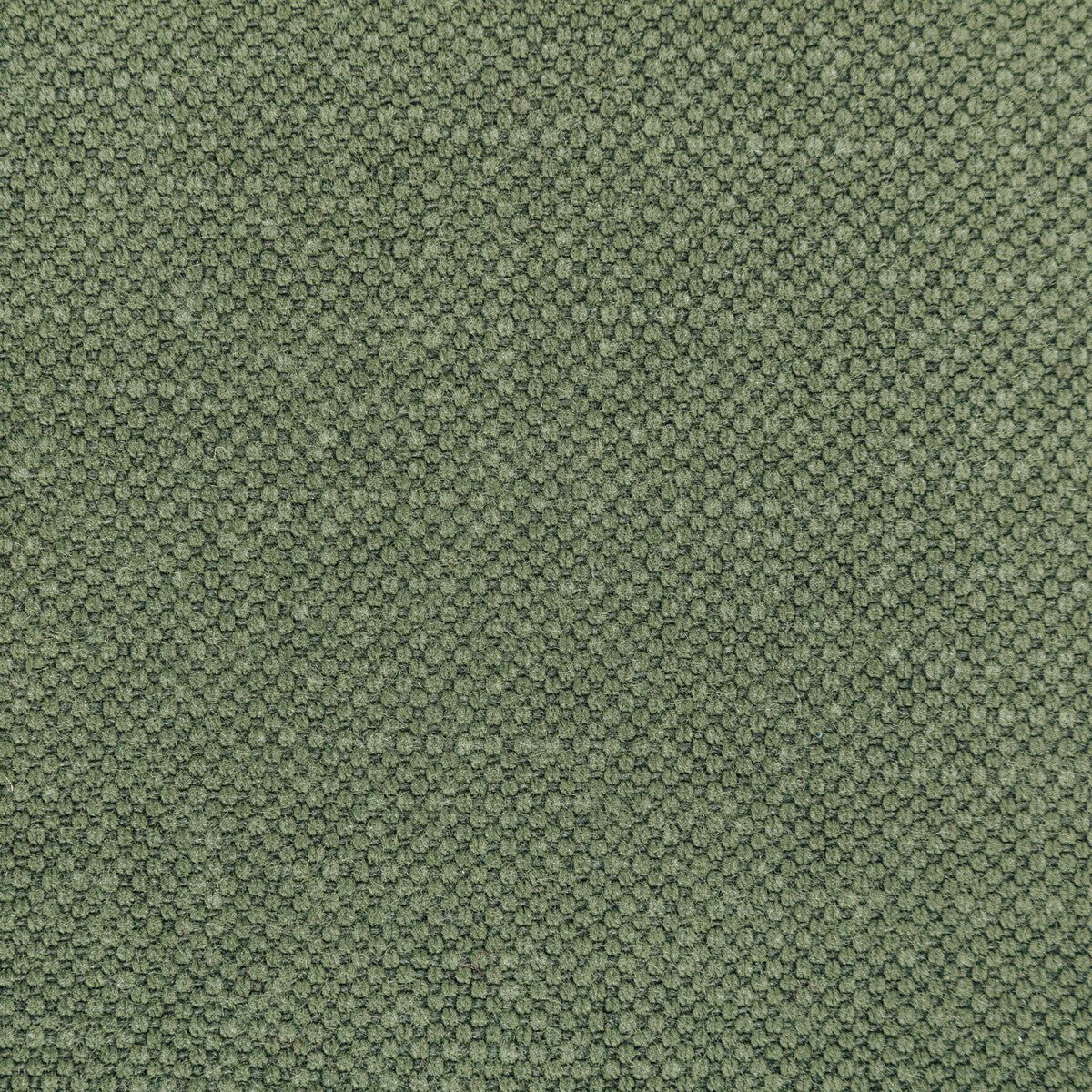 Carson fabric in olive color - pattern 36282.30.0 - by Kravet Basics
