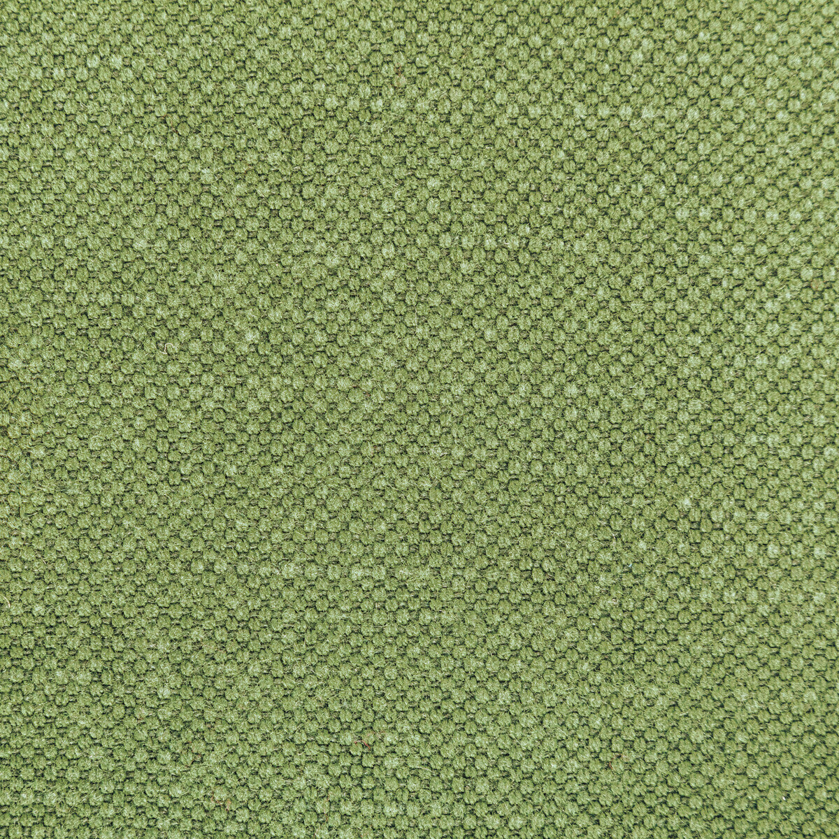 Carson fabric in frog color - pattern 36282.314.0 - by Kravet Basics