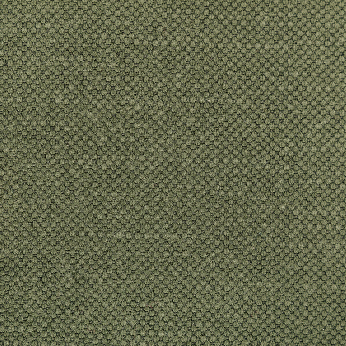 Carson fabric in pine color - pattern 36282.323.0 - by Kravet Basics