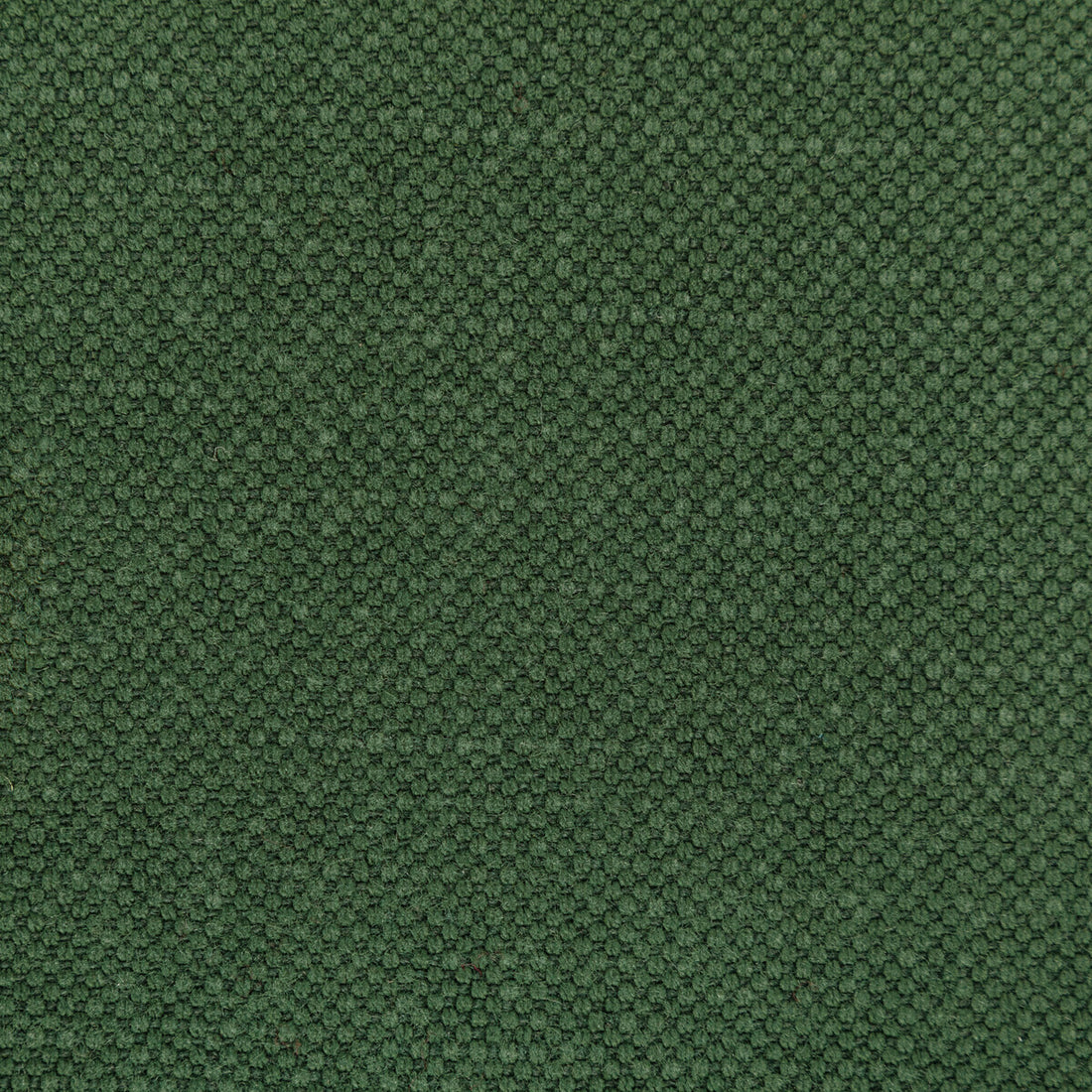 Carson fabric in envy color - pattern 36282.350.0 - by Kravet Basics