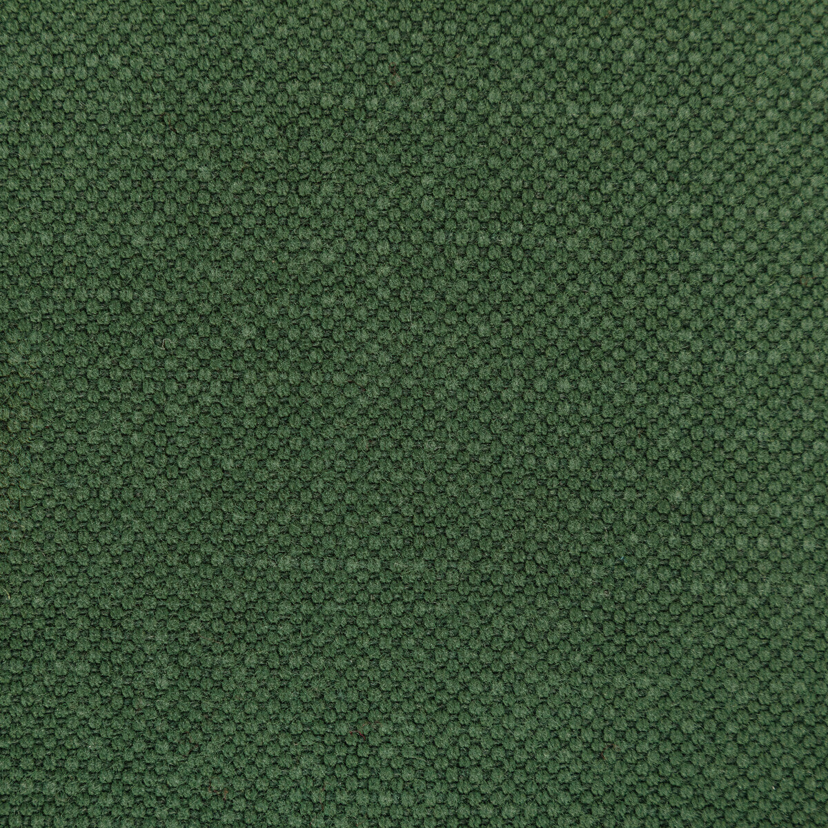 Carson fabric in envy color - pattern 36282.350.0 - by Kravet Basics