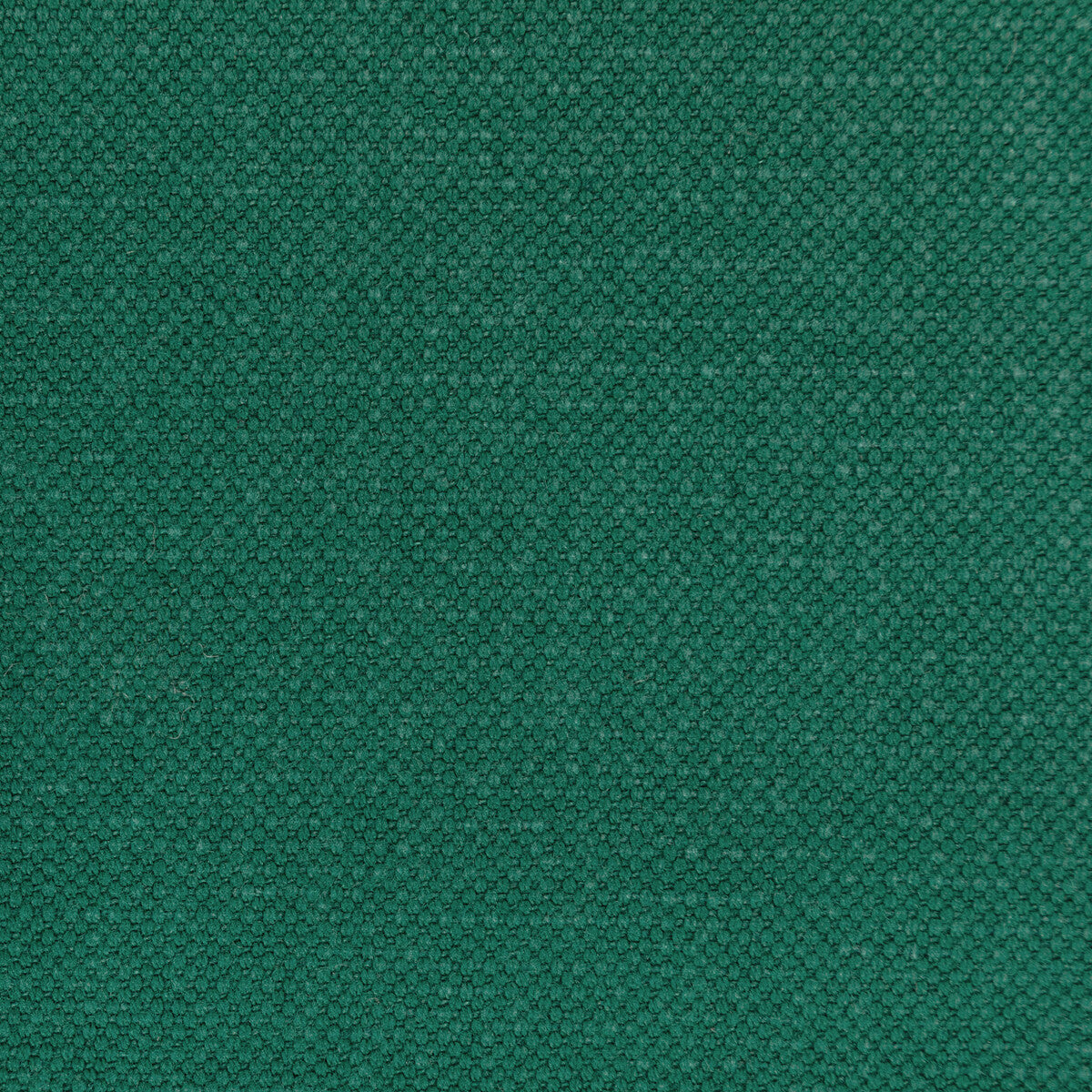 Carson fabric in garden color - pattern 36282.353.0 - by Kravet Basics