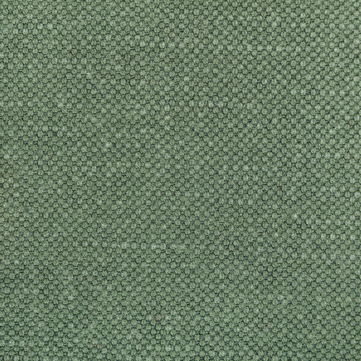 Carson fabric in relish color - pattern 36282.3535.0 - by Kravet Basics