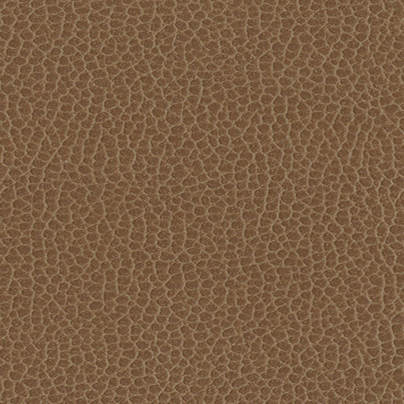 Promessa fabric in fields color - pattern number 363-3141 - by Schumacher in the Ultraleather collection