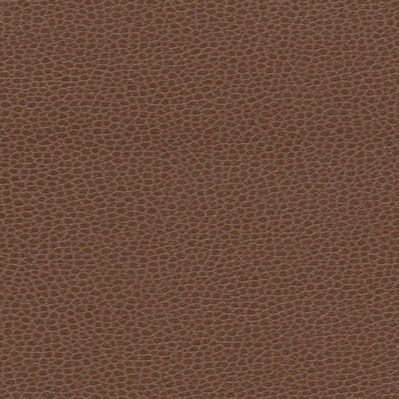 Promessa fabric in tudor color - pattern number 363-3143 - by Schumacher in the Ultraleather collection