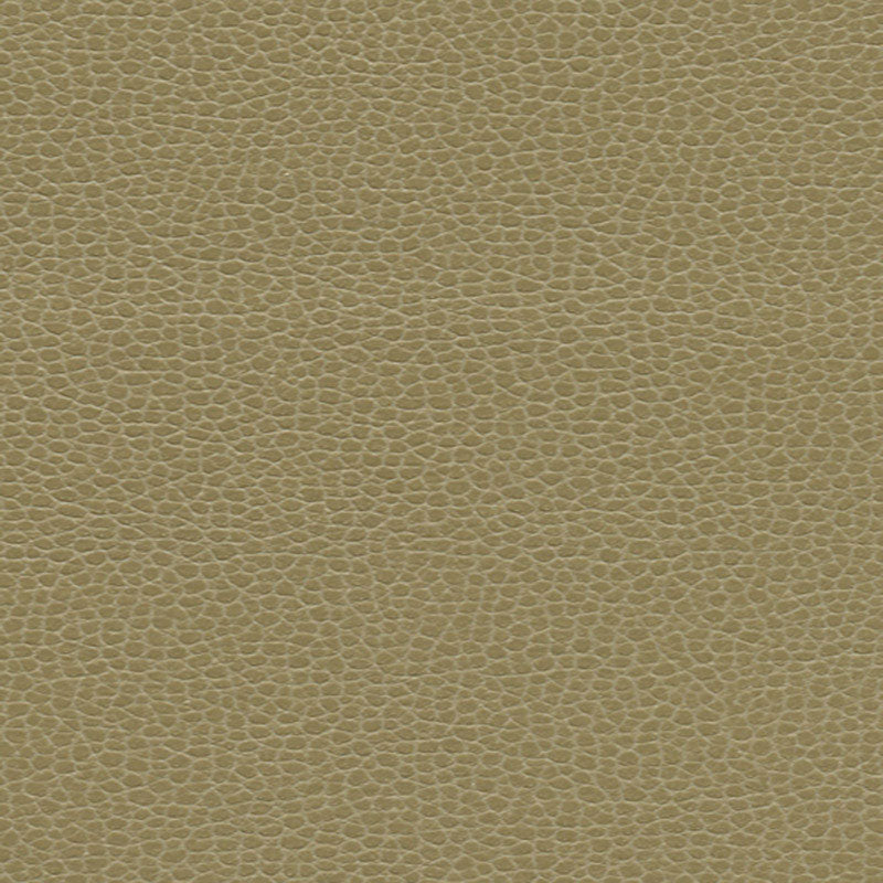 Promessa fabric in briarwood color - pattern number 363-3148 - by Schumacher in the Ultraleather collection
