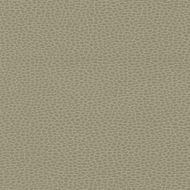 Promessa fabric in taupe color - pattern number 363-3463 - by Schumacher in the Ultraleather collection